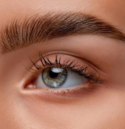 Sobrancelha com brow lamination, fio alinhado e penteado